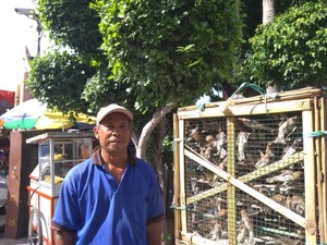 Cerita Tradisi Pelepasan Burung Pipit Saat Tahun Baru Imlek