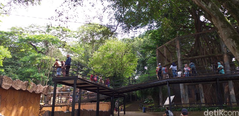 Libur Imlek, Pengunjung Kebun Binatang Bandung Meningkat Libur Imlek, Pengunjung Kebun Binatang Bandung Meningkat