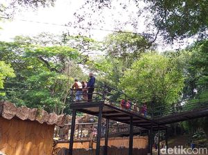 Libur Imlek, Pengunjung Kebun Binatang Bandung Meningkat