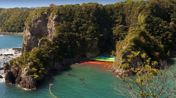 Nelayan Taiji berdalih kalau perburuan lumba-lumba merupakan suatu tradisi. Akan tetapi, organisasi pecinta satwa di seluruh dunia terang-terang mengecamnya (International Marine Mammal Project) Nelayan Taiji berdalih kalau perburuan lumba-lumba merupakan suatu tradisi. Akan tetapi, organisasi pecinta satwa di seluruh dunia terang-terang mengecamnya (International Marine Mammal Project)