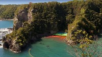Nelayan Taiji berdalih kalau perburuan lumba-lumba merupakan suatu tradisi. Akan tetapi, organisasi pecinta satwa di seluruh dunia terang-terang mengecamnya (International Marine Mammal Project)