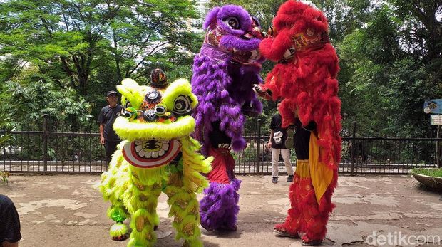 Menengok Atraksi Barongsai di antara Satwa Kebun Binatang Bandung