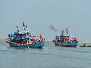 20% Nelayan Aceh Pakai Pukat, Panglima Laot Minta Pemerintah Bertindak