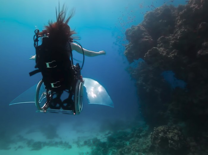 Menakjubkan 30 Pemandangan Bawah Laut Dari Atas - Kumpulan Gambar