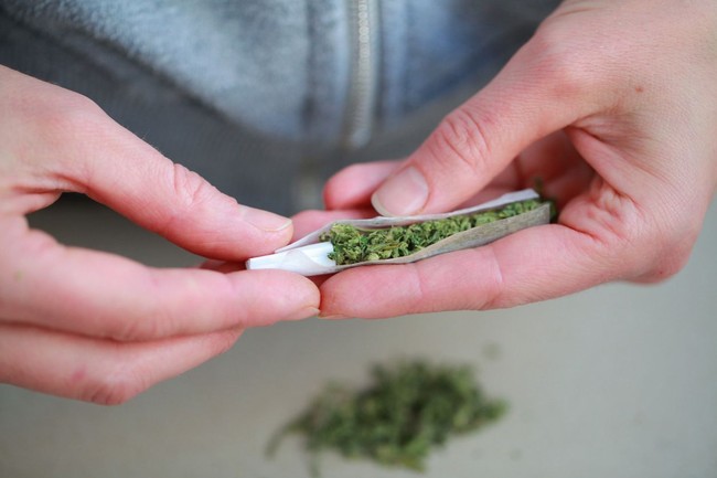 Sejumlah studi mengklaim, menghisap ganja dalam jumlah yang cukup bisa meningkatkan IQ hingga lima poin. Namun jika terlalu banyak menghisap ganja; lebih dari lima batang seminggu, akan berefek sebaliknya. Hasil studi tersebut masih jadi perdebatan dan perlu dilakukan penelitian yang lebih komprehensif lagi. Foto: iStock