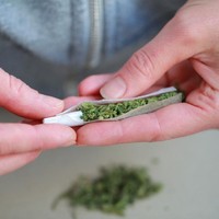 Sejumlah studi mengklaim, menghisap ganja dalam jumlah yang cukup bisa meningkatkan IQ hingga lima poin. Namun jika terlalu banyak menghisap ganja; lebih dari lima batang seminggu, akan berefek sebaliknya. Hasil studi tersebut masih jadi perdebatan dan perlu dilakukan penelitian yang lebih komprehensif lagi. Foto: iStock