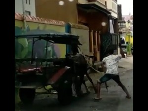 Kaleidoskop 2019: Kusir Siksa Kuda dan Penjual Cilok Ingin Beli SIM Polisi