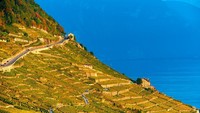 Jenewa ada di ujung selatannya dan di sebelah selatan ada Prancis yang memiliki spa dan resor. Lake Geneva memiliki luas 580 km2 dan panjang 73 km (iStock)
