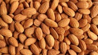 Makanan yang kaya akan triptofan dan asam amino bisa bikin ngantuk. Kacang almond, ayam, buncis, dan lemak ikan masuk kategori makanan itu. Foto: Istimewa