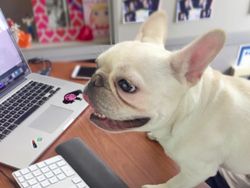 Karyawan Google Buka-bukaan Suasana Asyik Kantornya