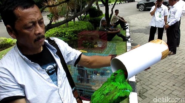 Ditpolair Polda Jatim Gagalkan Pengiriman Unggas Langka dari Papua