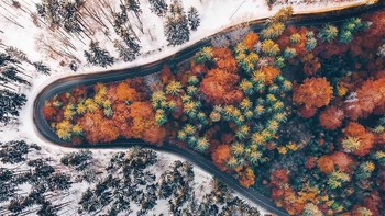 Seorang fotografer pun mengabadikan keunikan dan keindahan alam Transylvania dari atas udara. Hasilnya pun menakjubkan. Istimewa/Dok. Boredpanda.