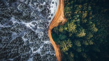Transylvania menjadi salah satu kota yang ada di negara Rumania dan terletak di timur benua Eropa. Istimewa/Dok. Boredpanda.