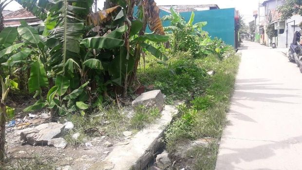 Lahan kosong banyak ditumbuhi pepohonan yang berpotensi jadi sarang nyamuk. (Isal Mawardi)