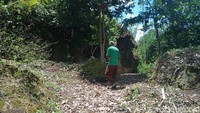 Jalanan di sekitar gua (Andi Nurroni/detikTravel)