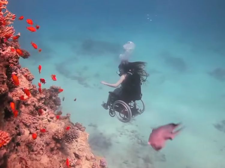 Terpana Melihat Pemandangan Bawah Laut, Menyelam di Atas Kursi Roda