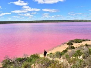 Di Australia Ada Danau Pink yang Bisa Berubah Warna, Penasaran?