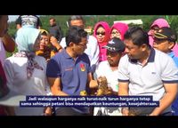 Mampir di Magetan, Sandiaga Uno Keliling Kebun Kubis, Kentang hingga Cabai 
