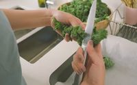 Begini Cara Bikin Keripik Kale Renyah ala Selebgram Acha Sinaga