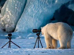 Karya Jawara Kontes Foto Komedi Hewan, Kocak dan Bikin Gemas!