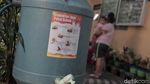 Lingkungan Asri Bebas Asap Rokok di Kampung Iklim Sunter