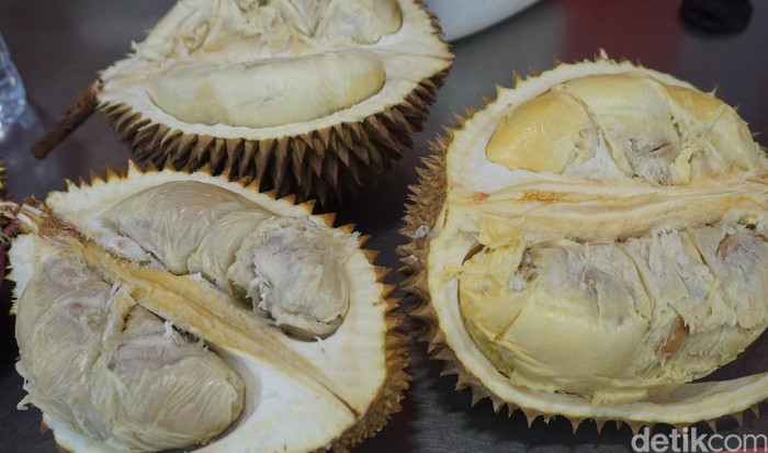 Download 5500 Gambar Durian Medan  Gratis