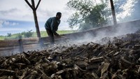 Pekerja memanggang gaplek di salah satu industri rumahan pengolahan singkong, Jampang Tengah, Kabupaten Sukabumi, Jawa Barat, Rabu (6/2/2019). Dalam sehari, industri rumahan tersebut mampu memproduksi gaplek singkong hingga lima ton dengan harga jual Rp3500 - Rp4000 per kilogram serta diekspor ke negara China. ANTARA FOTO/Nurul Ramadhan.