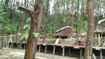 Foto: Tempat Glamping Seru di Purworejo