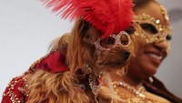 Ada pula seekor anjing yang dihias dengan pakaian dan aksesoris yang berkilau.