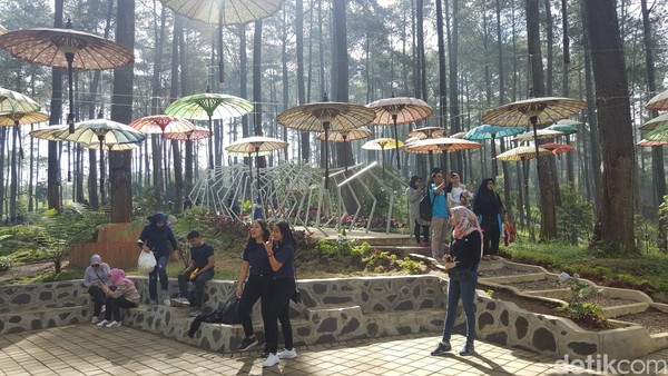 Nah kamu mencari titik instagramble, tidak perlu khawatir. Di sini banyak spot yang bisa kamu kreasikan. Ada payung-payung, gantungan bola-bola pimpong, taman-taman bunga beragam warna, deretan pepohonan pinus dan banyak lagi. (Syanti/detikTravel) Nah kamu mencari titik instagramble, tidak perlu khawatir. Di sini banyak spot yang bisa kamu kreasikan. Ada payung-payung, gantungan bola-bola pimpong, taman-taman bunga beragam warna, deretan pepohonan pinus dan banyak lagi. (Syanti/detikTravel)