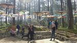 Foto: Hutan Pinus Paling Instagramable di Bandung