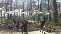 Nah kamu  mencari titik instagramble, tidak perlu khawatir. Di sini banyak spot yang bisa kamu kreasikan. Ada payung-payung, gantungan bola-bola pimpong, taman-taman bunga beragam warna, deretan pepohonan pinus dan banyak lagi. (Syanti/detikTravel)
