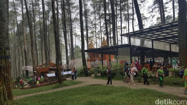 Traveler juga tidak perlu khawatir kelelahan, haus dan lapar. Di dalam terdapat cafe dan food court serta bangku-bangku santai yang tersebar di kawasan hutan pinus. Traveler juga tidak perlu khawatir kelelahan, haus dan lapar. Di dalam terdapat cafe dan food court serta bangku-bangku santai yang tersebar di kawasan hutan pinus.