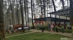 Foto: Hutan Pinus Paling Instagramable di Bandung