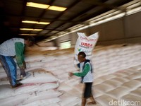 Celah Suap Distribusi Pupuk yang Terseret KPK