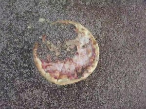 Wouw! Pizza Ini Ludes Digerogoti  Ribuan Belatung Dalam 2 Jam
