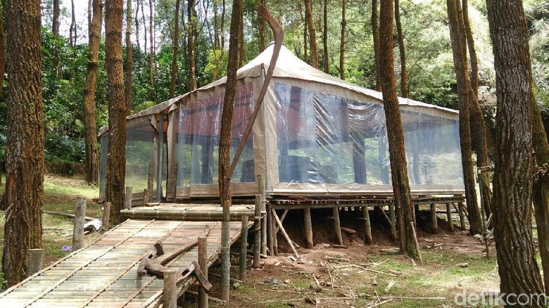 Glamping DLoano di Purworejo (Rinto/detikTravel) Glamping DLoano di Purworejo (Rinto/detikTravel)