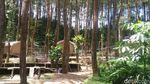 Foto: Tempat Glamping Seru di Purworejo