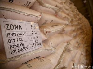 Pemerintah Masih Punya Utang Pengadaan Pupuk Bersubsidi Rp 5 Triliun