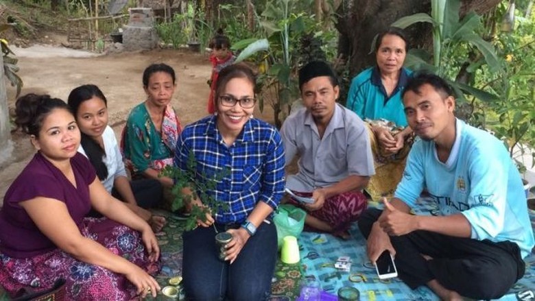 Mukjizat Daun Kelor Gerakkan Ekonomi di Lombok Mukjizat Daun Kelor Gerakkan Ekonomi di Lombok