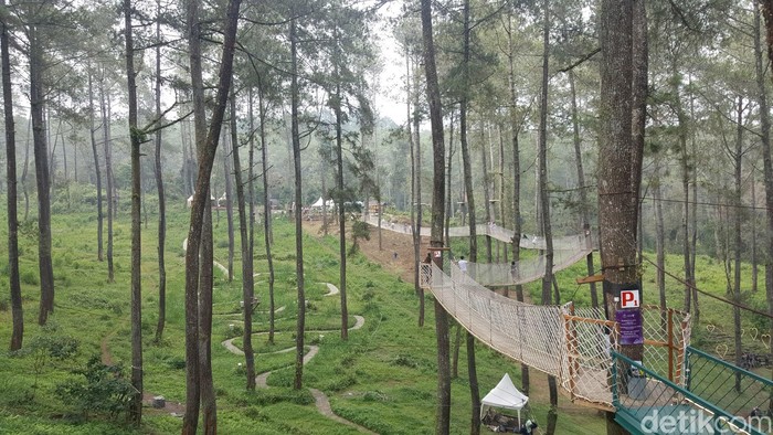 Orchid Forest Lembang, Bandung