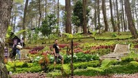 Tempat ini sangat cocok untuk kamu yang suka hunting foto bergaya ke kinian. Yuk! (Syanti/detikTravel)