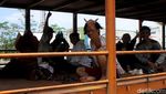 Aksi Nekat Menumpang Truk Lintas Pantura