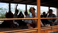 Para remaja itu kerap berganti truk karena truk tersebut akan memasuki jalur tol atau karena sang pengendara truk lama beristirahat.