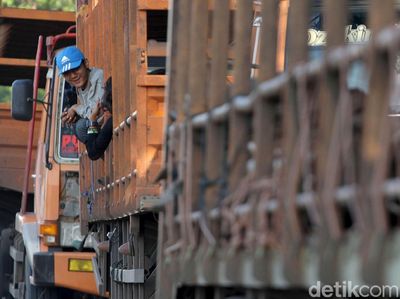 Aksi Nekat Menumpang Truk Lintas Pantura