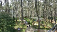 Selain tempat penangkaran beragam anggrek, hutan ini juga berkonsep kekinian. (Syanti/detikTravel)