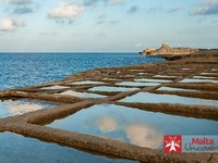 pulau misterius