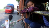 Rasa lelah kerap menghampiri para remaja itu saat menunggu truk untuk berpindah kendaraan.