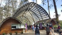 Orchid Forest merupakan hutan pinus yang berada di Cikole, Bandung. (Syanti/detikTravel)