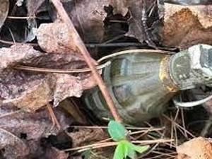 DPR Minta TNI-Polri Antisipasi Teror Bom Jelang Pemilu